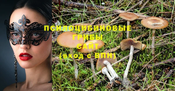 ГАЛЛЮЦИНОГЕННЫЕ ГРИБЫ Абдулино